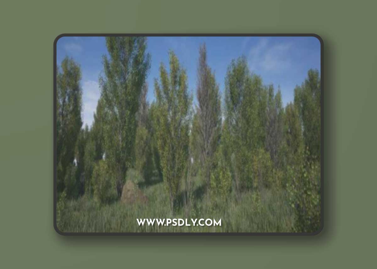 Unreal Engine - Poplars Pack (Populus Rigra f. Pyramidalis)