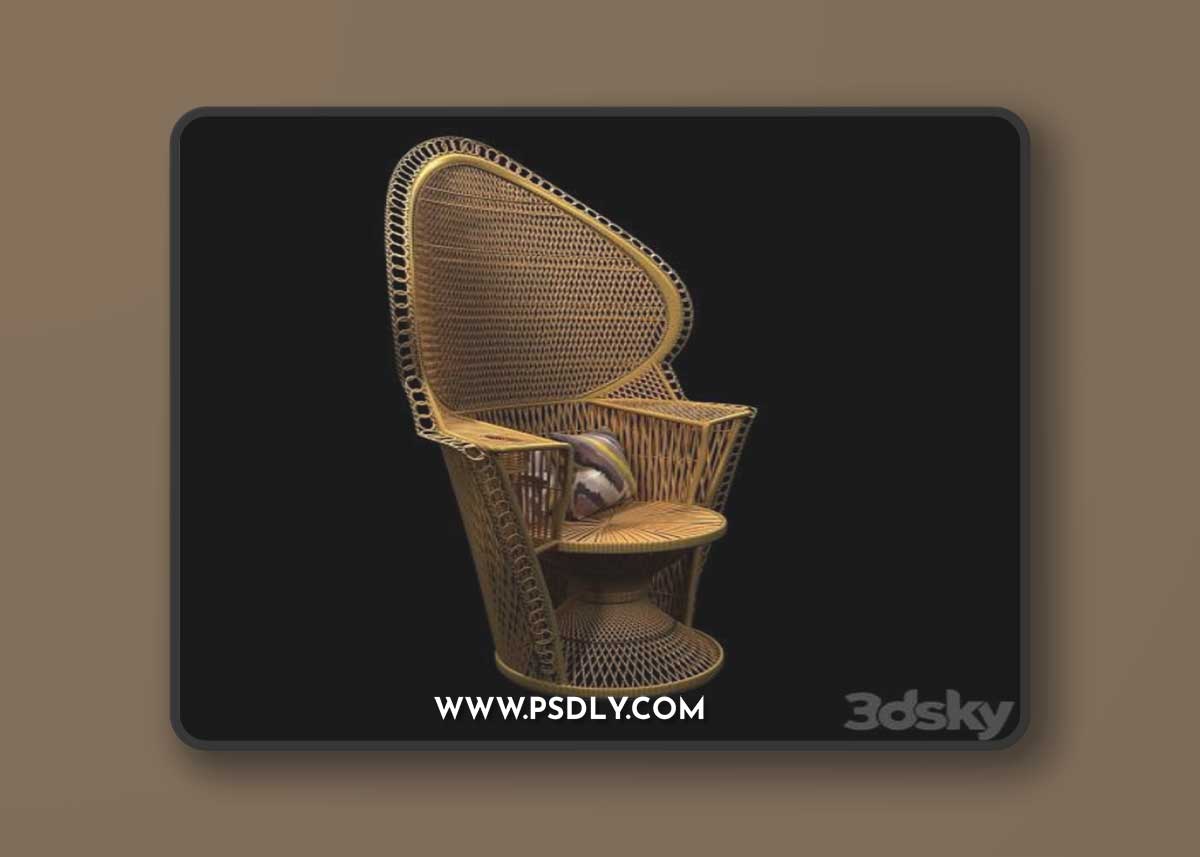 Wicker Rattan Fan Back Peacock Chair - Vintage