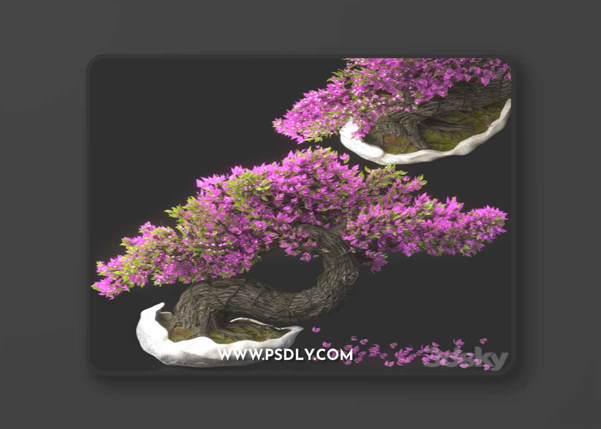 Bonsai Flower Set-13 3D Model