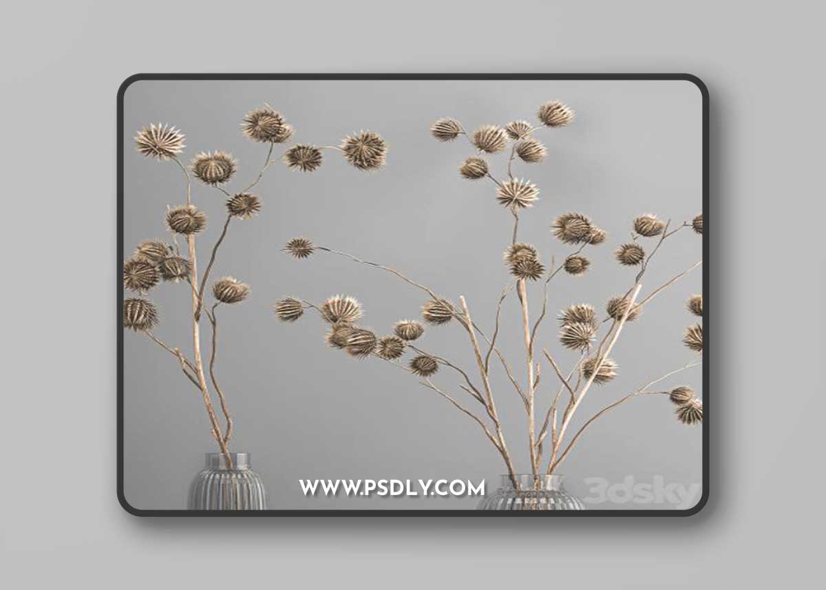 Bouquet of dried flowers in a vase with branches of dry thorns thistle . 182.