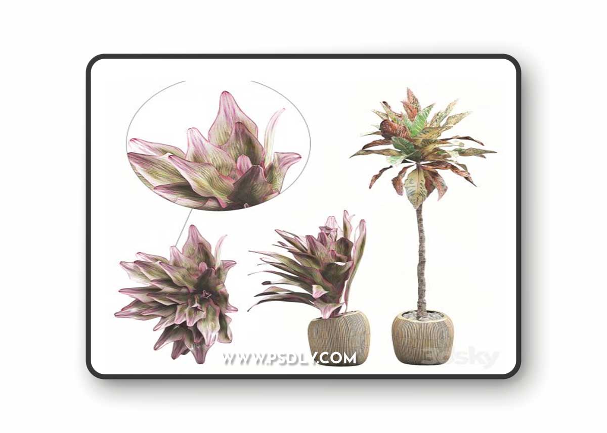INTERIOR FLOWER PACK 34