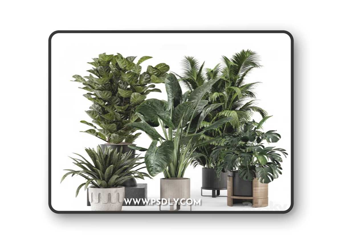 Indoor Plants in Ferm Living Bau Pot Large - Set 1188
