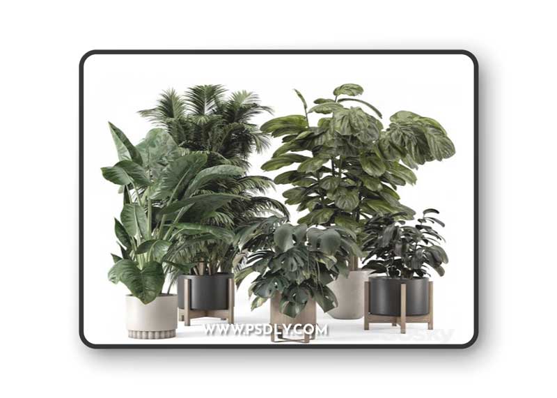Indoor Plants in Ferm Living Bau Pot Large - Set 1361