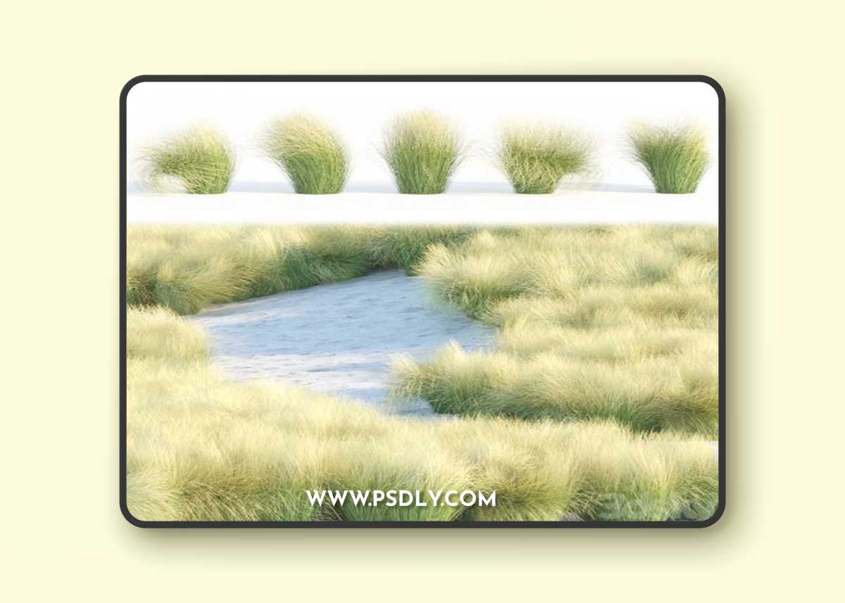 Maram Grass collection vol 155