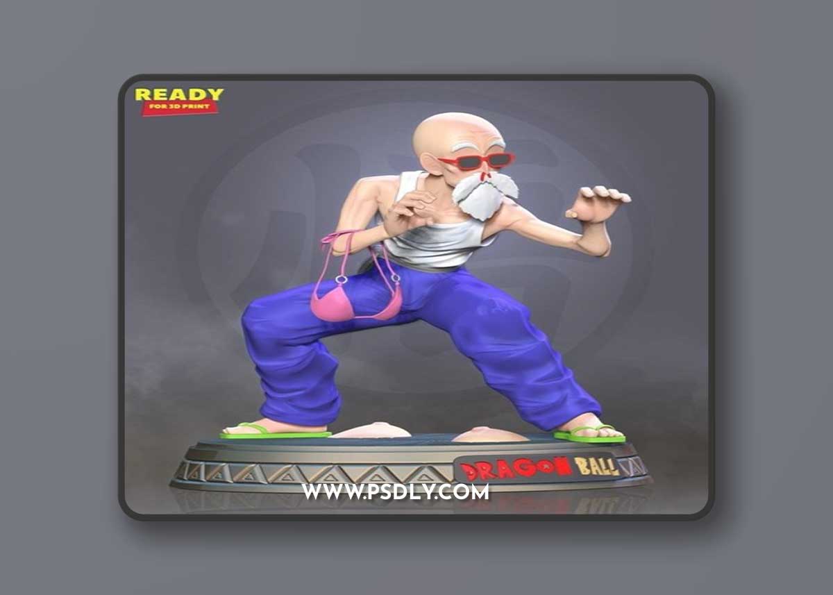 Master Roshi Ready to Fight – 3D Print Model
