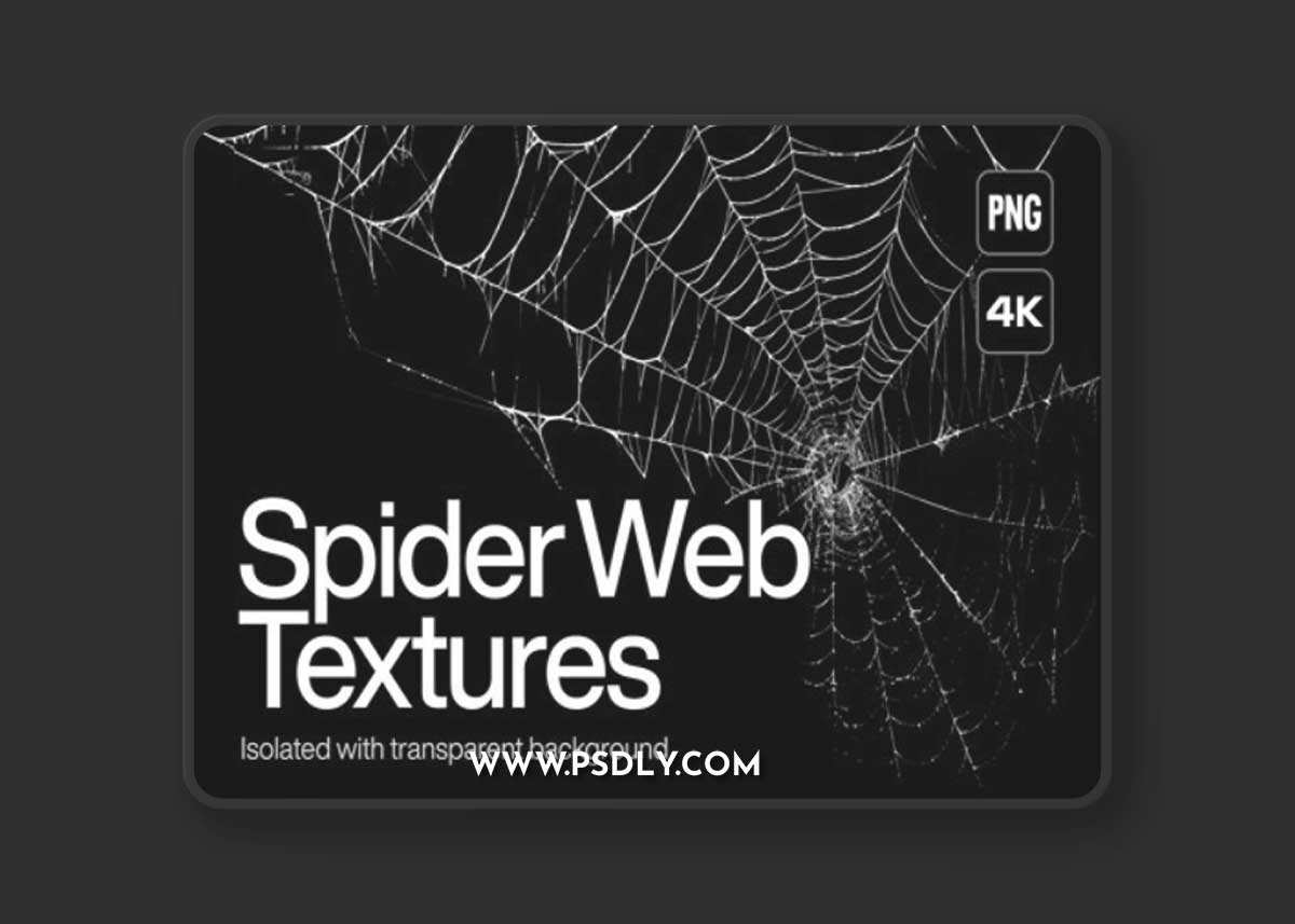 Spider Web Overlays Collection for Photoshop