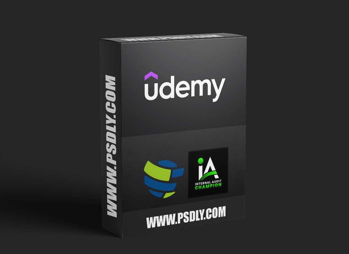 The Internal Audit Champion by Omair Arfeen