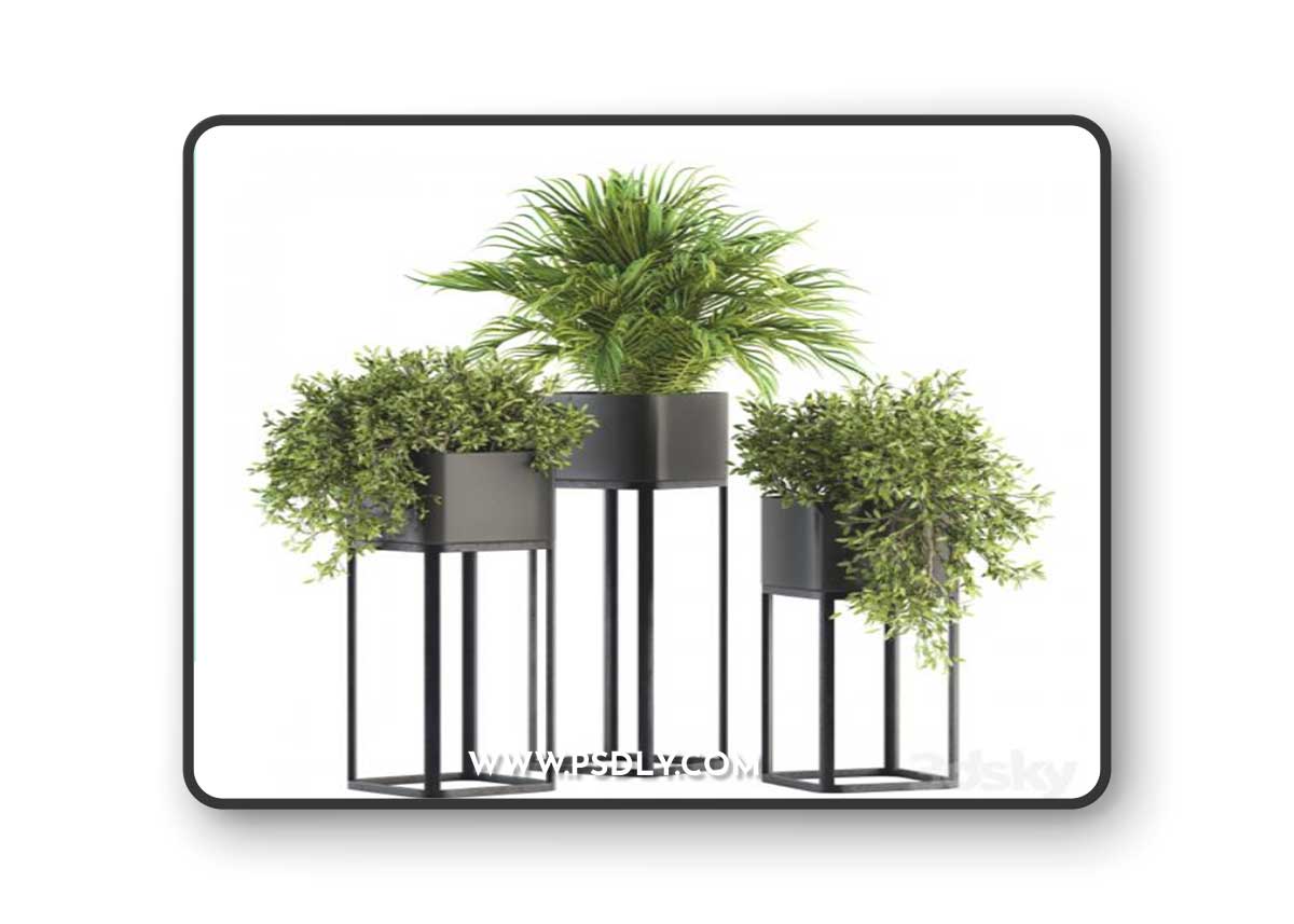 indoor Plant Set 211 - Plant Box Stand