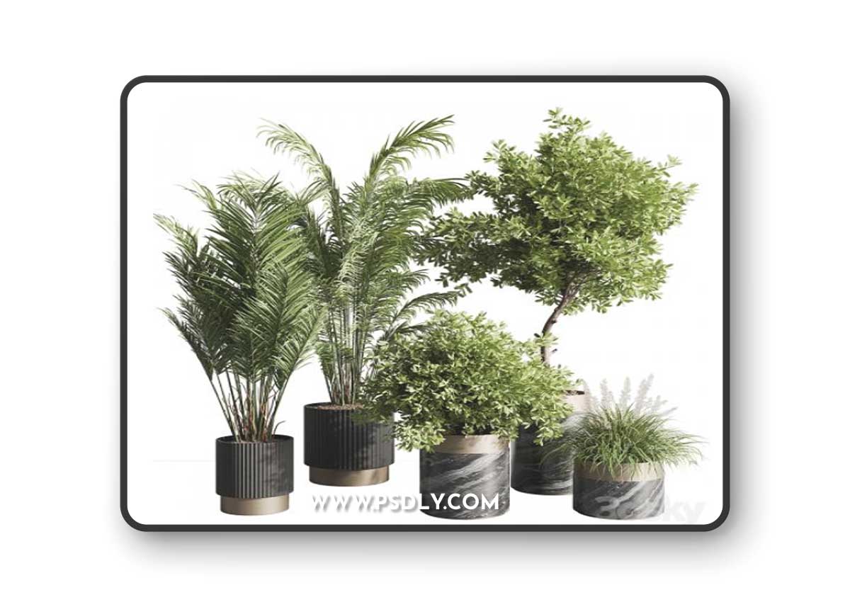 indoor plant set 57 3D Model