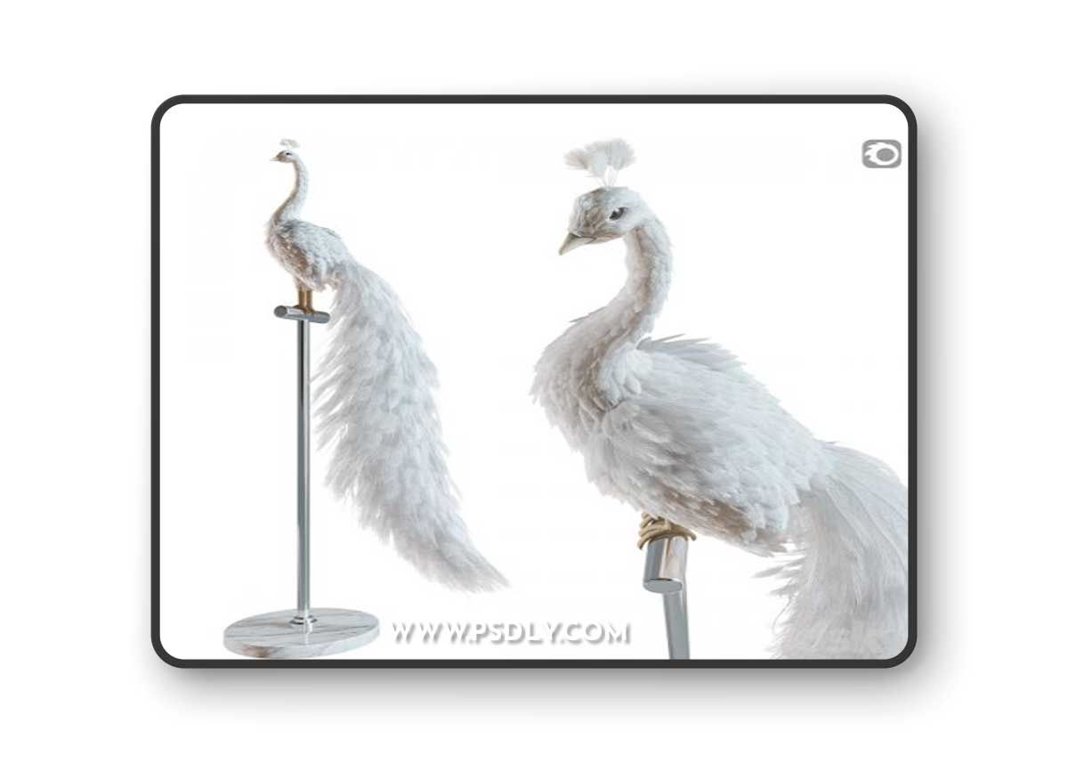 Artificial White Peacock 01 3D Model