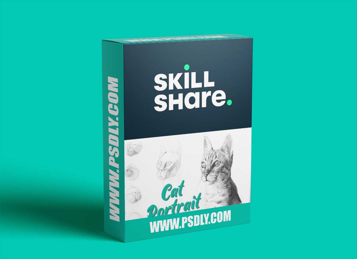 Cat Portrait: Pencil Drawing With A Focus On 3D Form | Intermediate