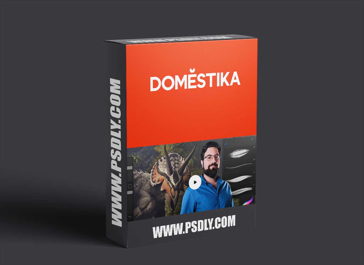 Domestika - Introduction to Procreate