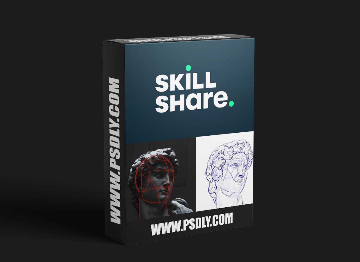 Drawing the Portrait | A Beginners Guide