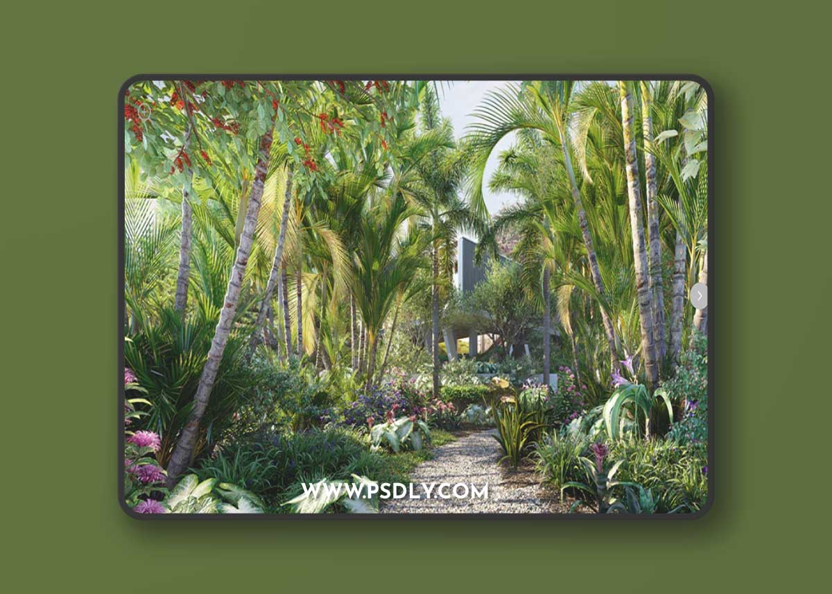 Globe Plants – Bundle 32 Brazilian Home & Garden Plants