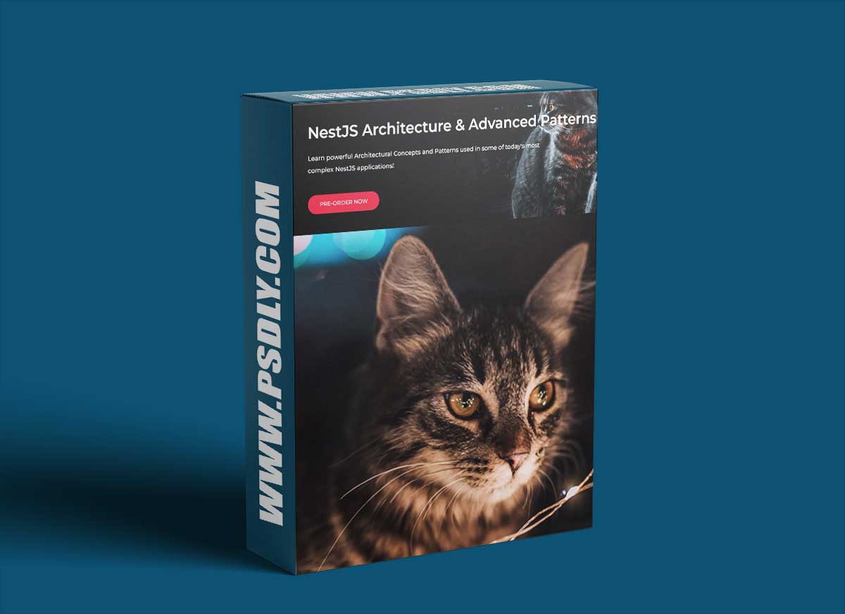 NestJS Architecture & Advanced Patterns