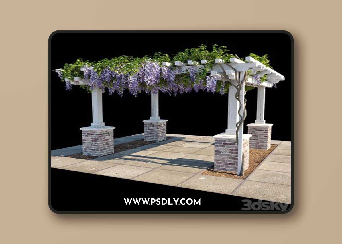 Pergola with Wisteria (Pergola with Wisteria)