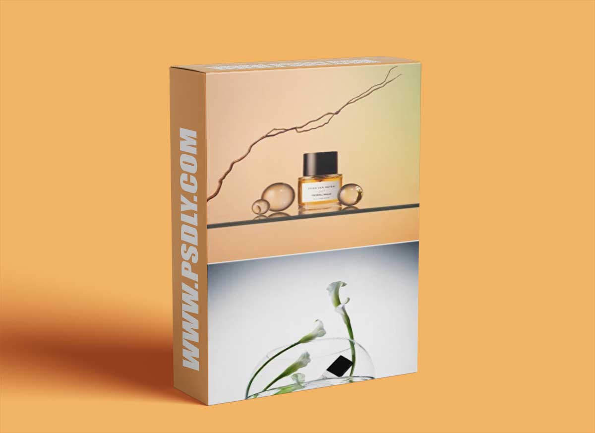 Pro light by Anastasia Maksimova