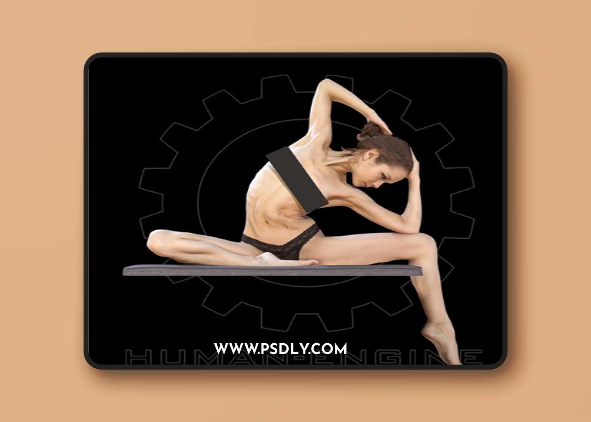 Sylph Anatomical Scan 291 3D Model