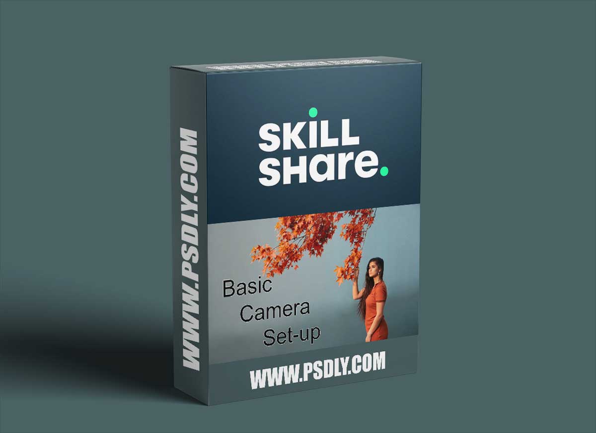 Basic Camera Set-up: The First Step to Quality Creative Photography