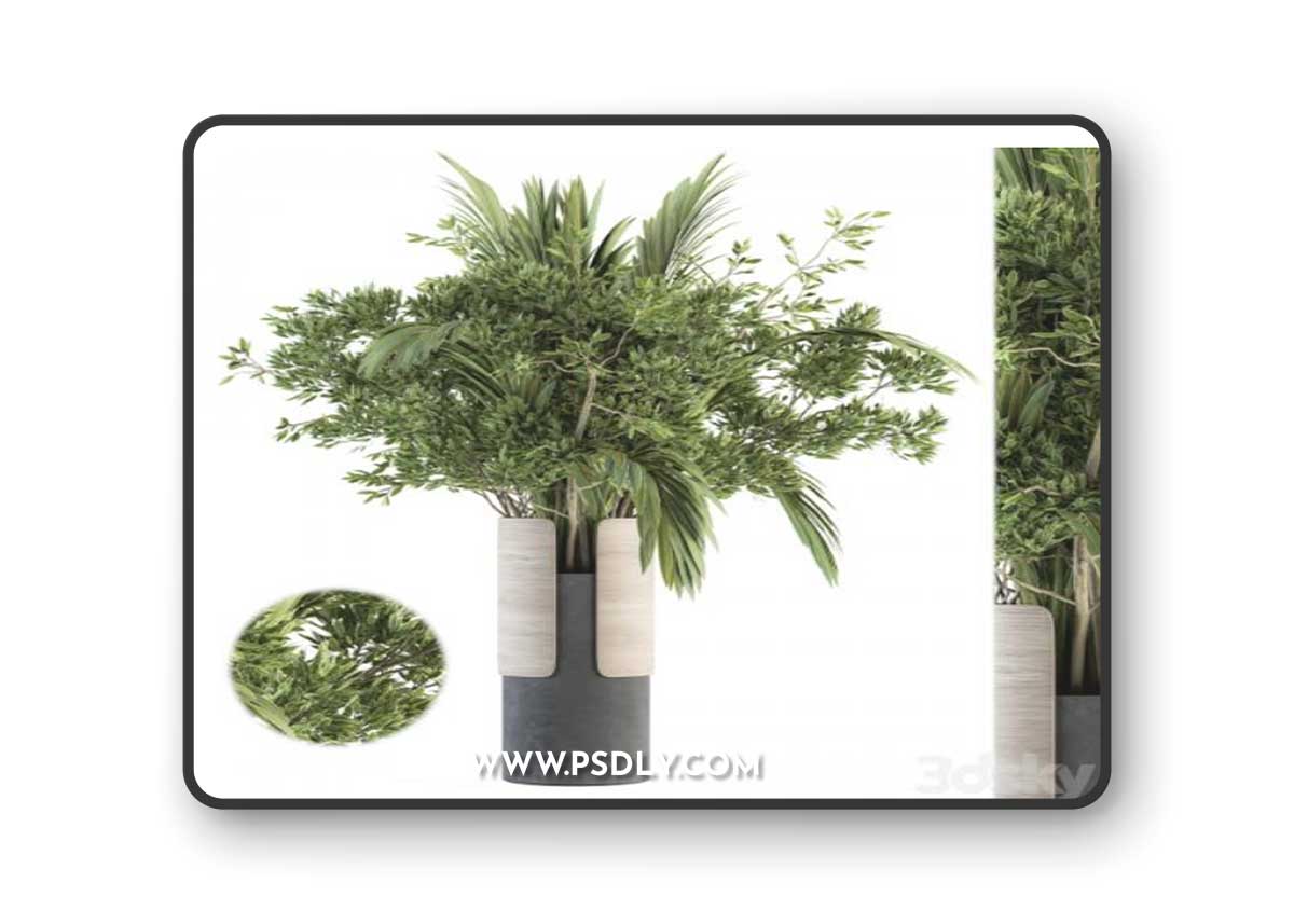 Bouquet - Branch in vase 27