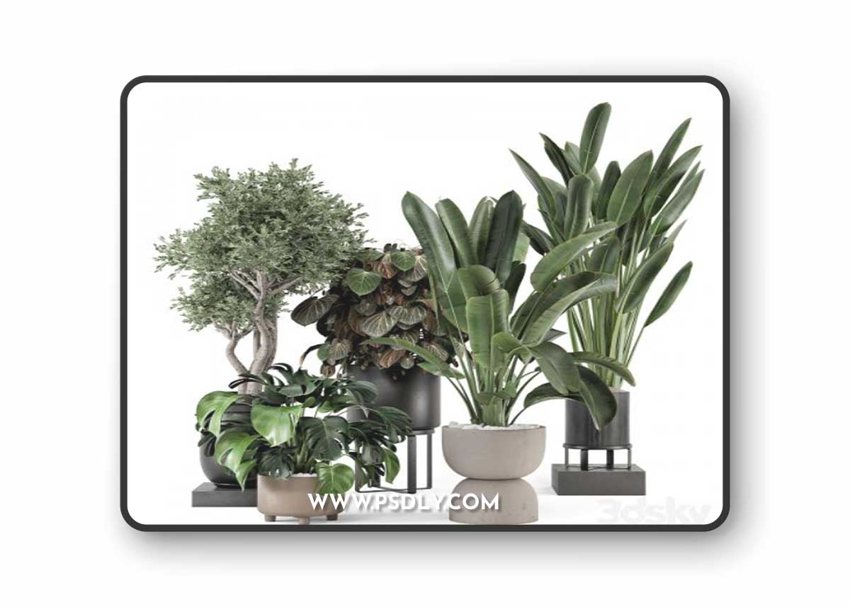 Indoor Plants in Ferm Living Bau Pot Large - Set 1204