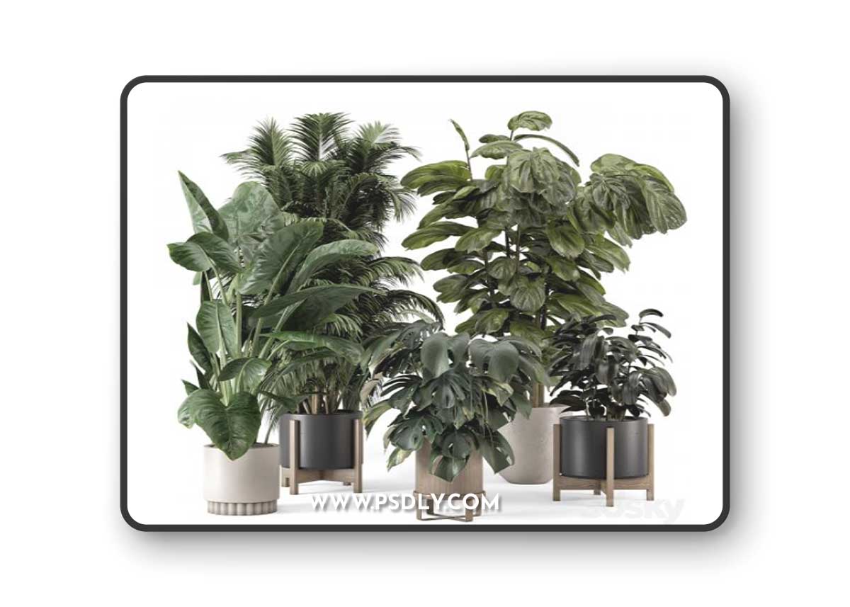 Indoor Plants in Ferm Living Bau Pot Large - Set 1361