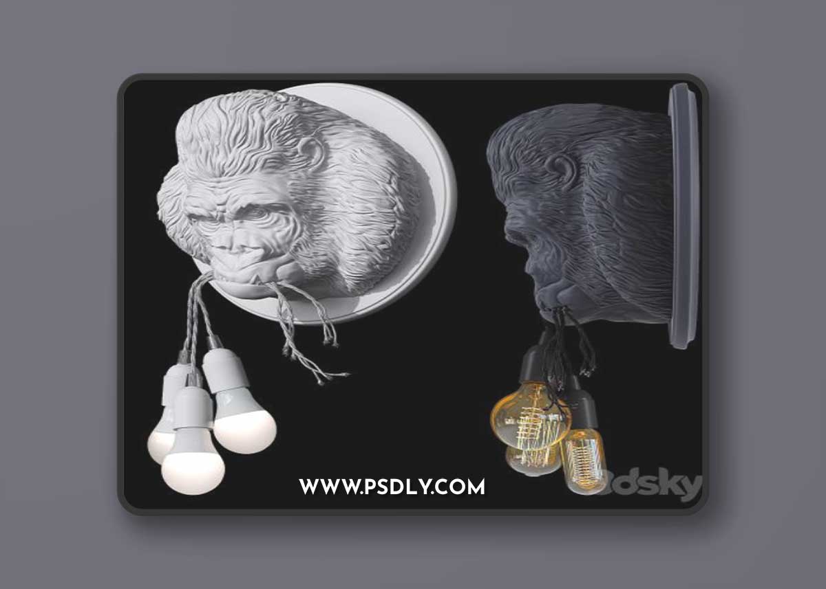 Karman Ugo Rilla 3D Model
