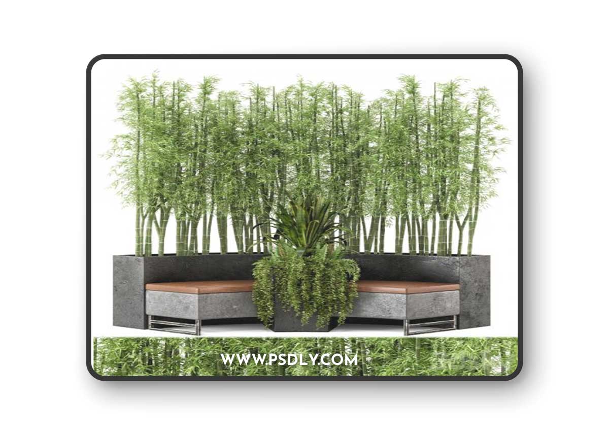 Outdoor Garden set bush and Tree - Garden Set 68