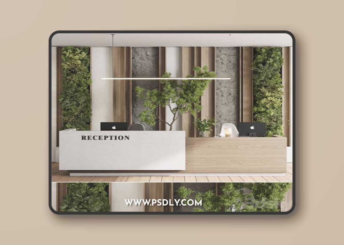 Reception Desk and Wall decor - office furniture 22 corona