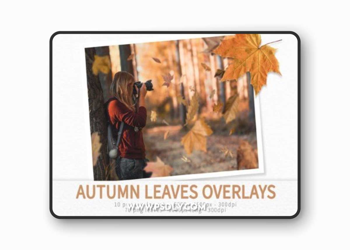 Autumn Leaves Overlays
