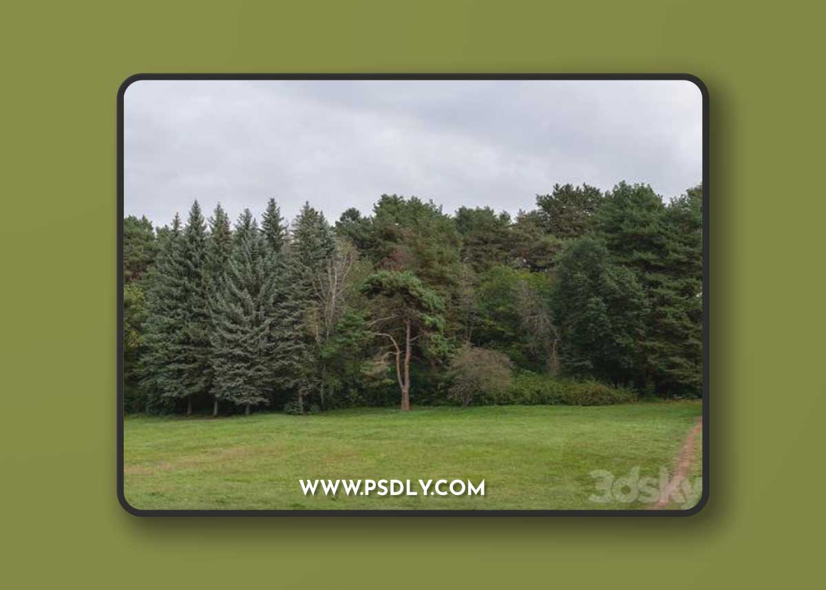 Autumn panorama with trees. 30k