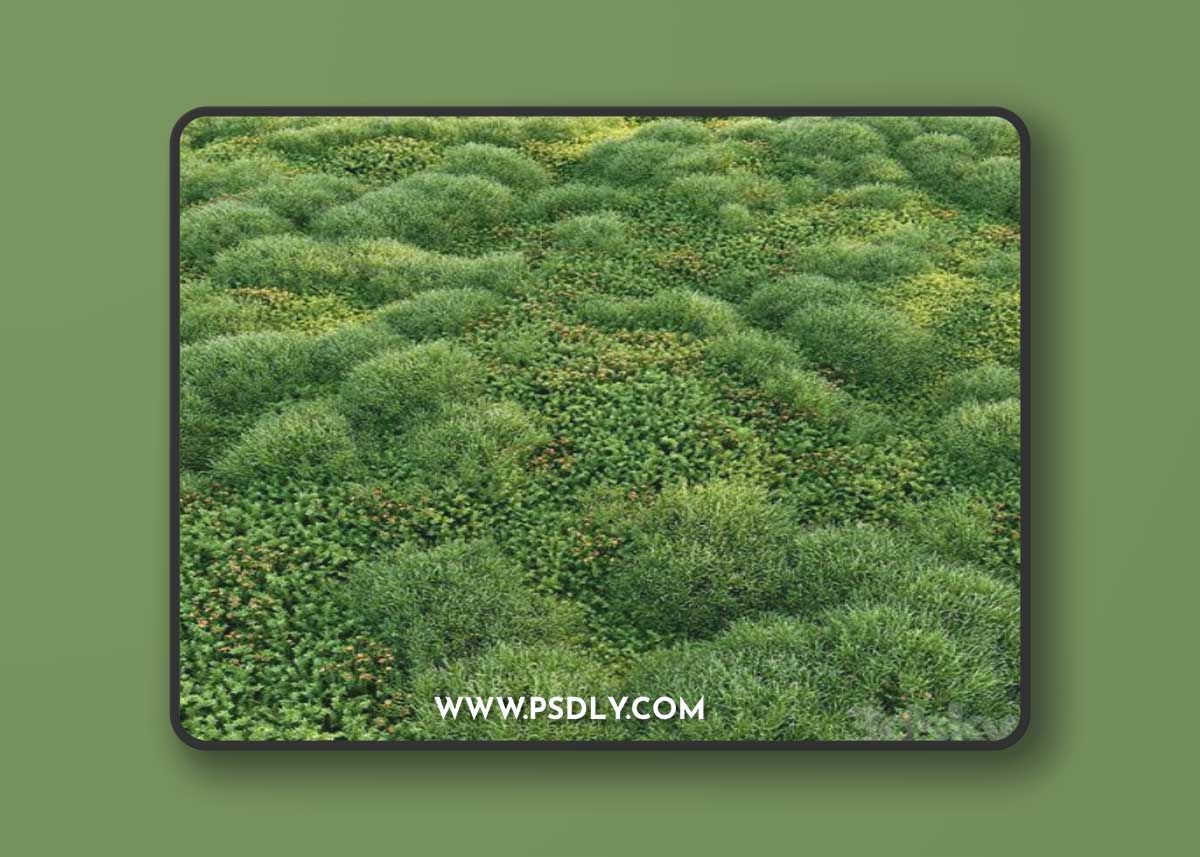 Blooming moss 2 3D Model
