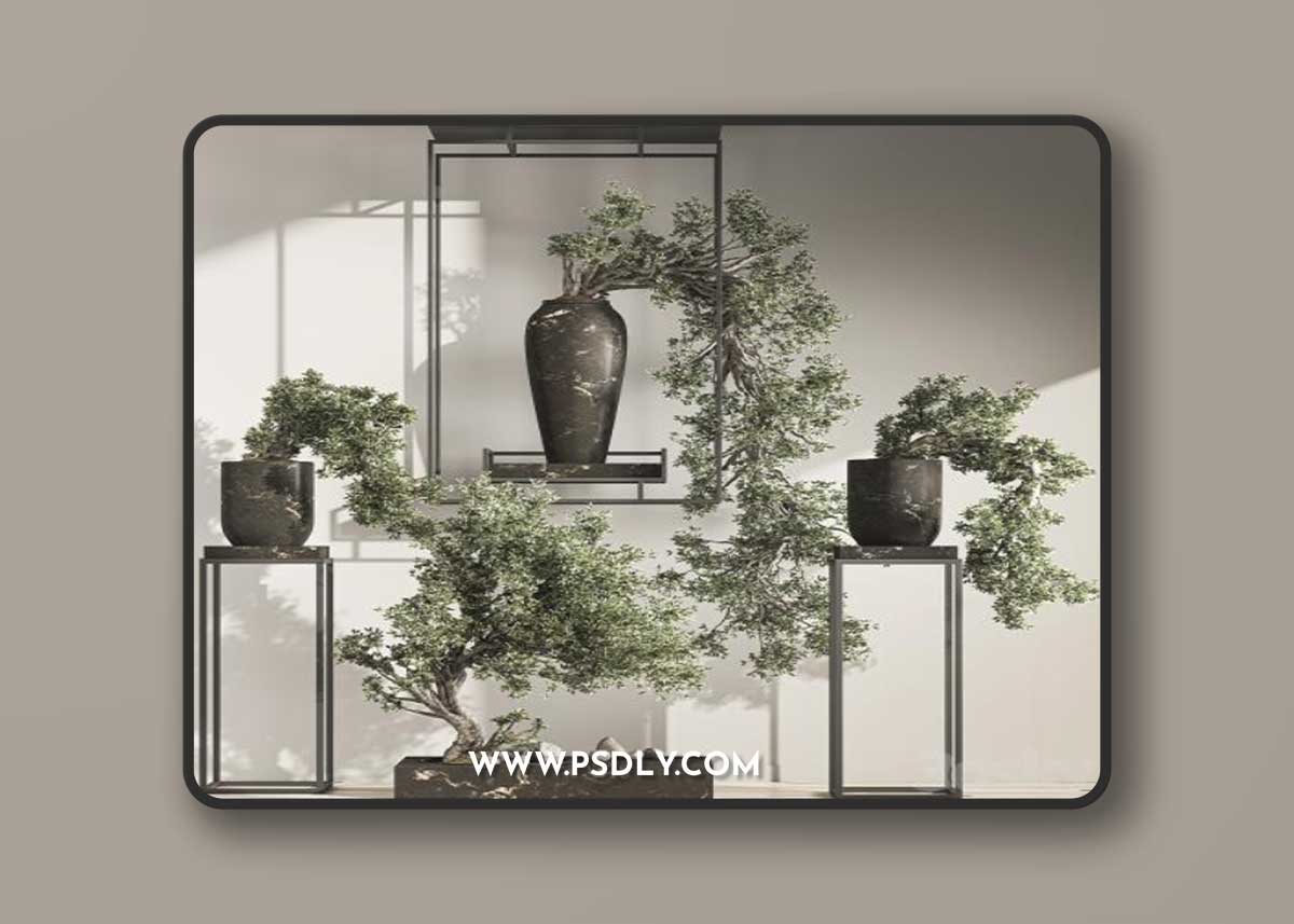 Bonsai And Indoor Plant Set 43 3D Model
