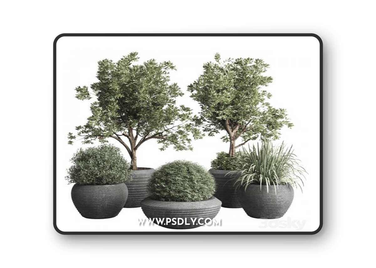 Collection indoor outdoor plant 120 plant tree grass vase dirty concrete