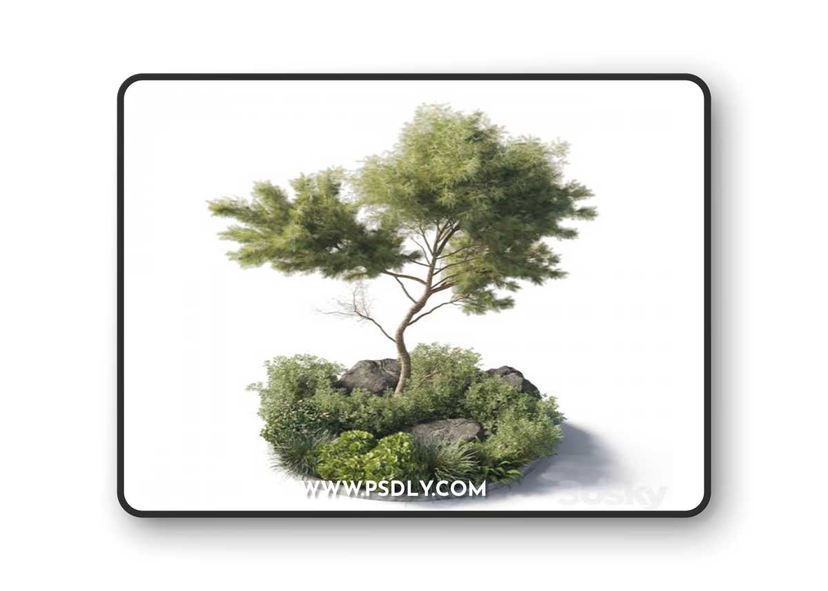 Collection outdoor indoor 81 pot plant & tree & bush & fern the garden pot corona