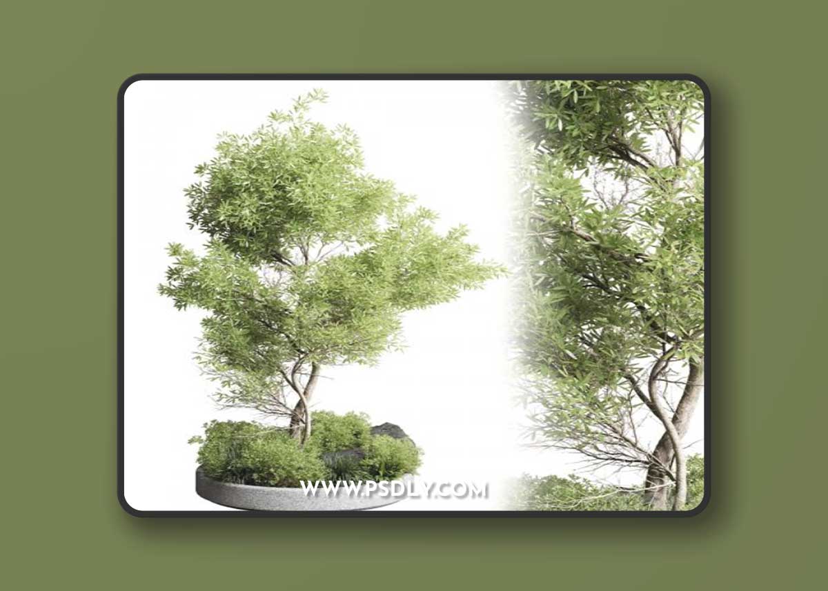 Collection outdoor indoor 85 pot plant & tree & bush