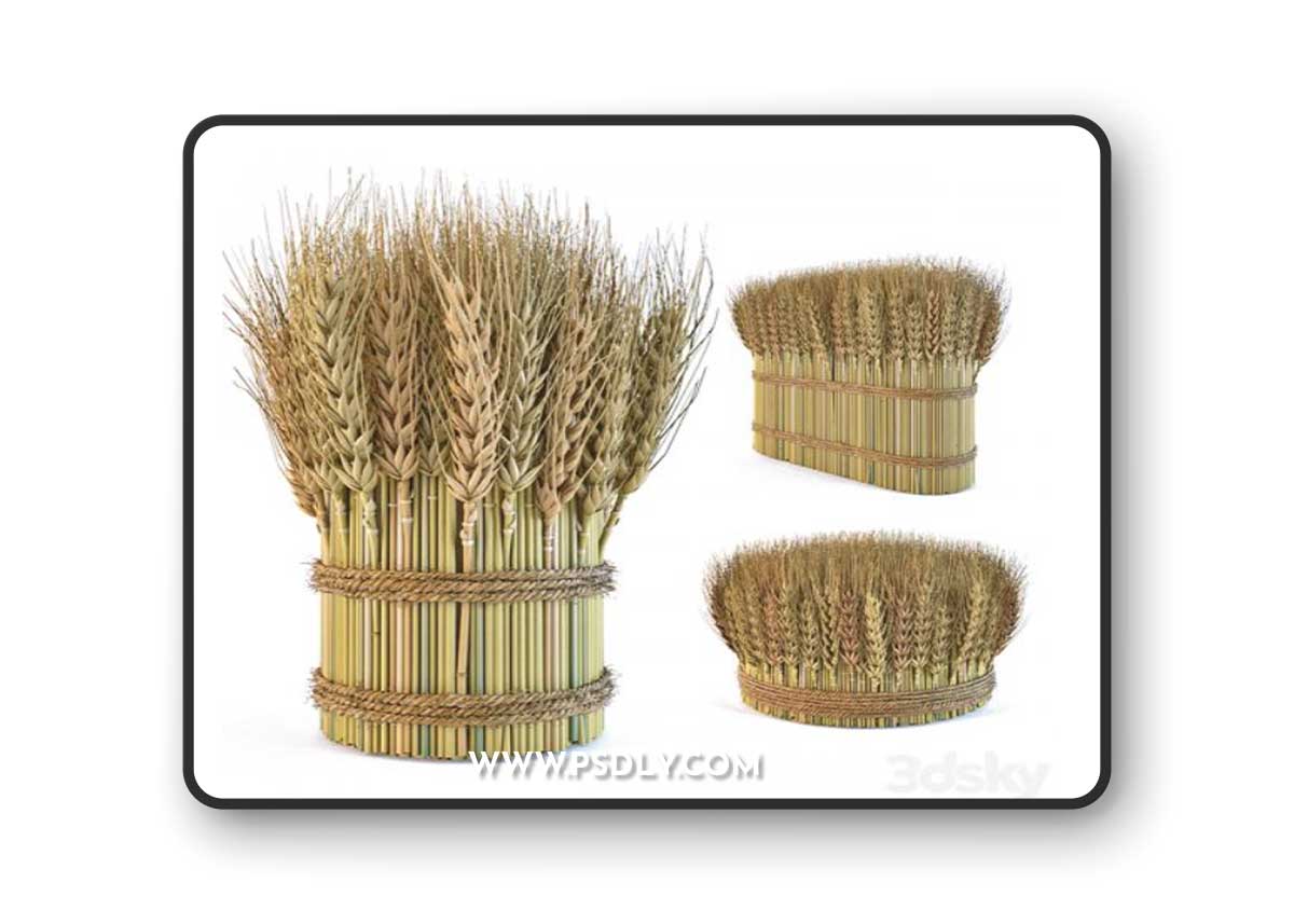 Decorative sheaves of wheat ears 2 3D Model