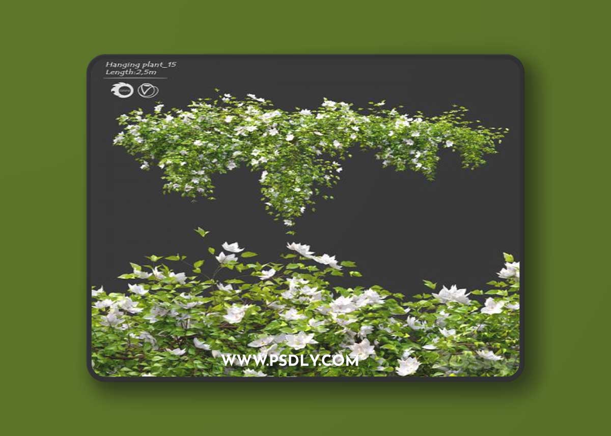 Hanging Plant 15 3D Model