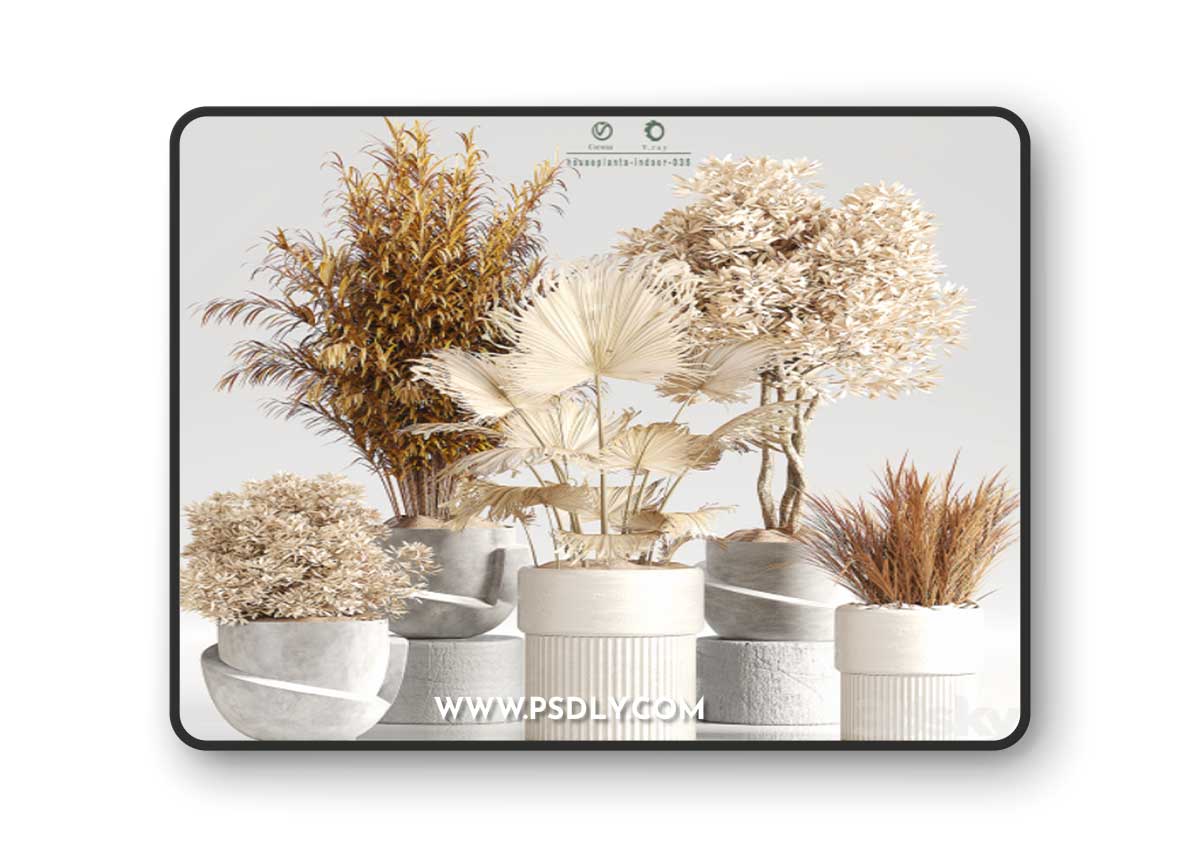 Indoor Plant Set 35 Dry Plants