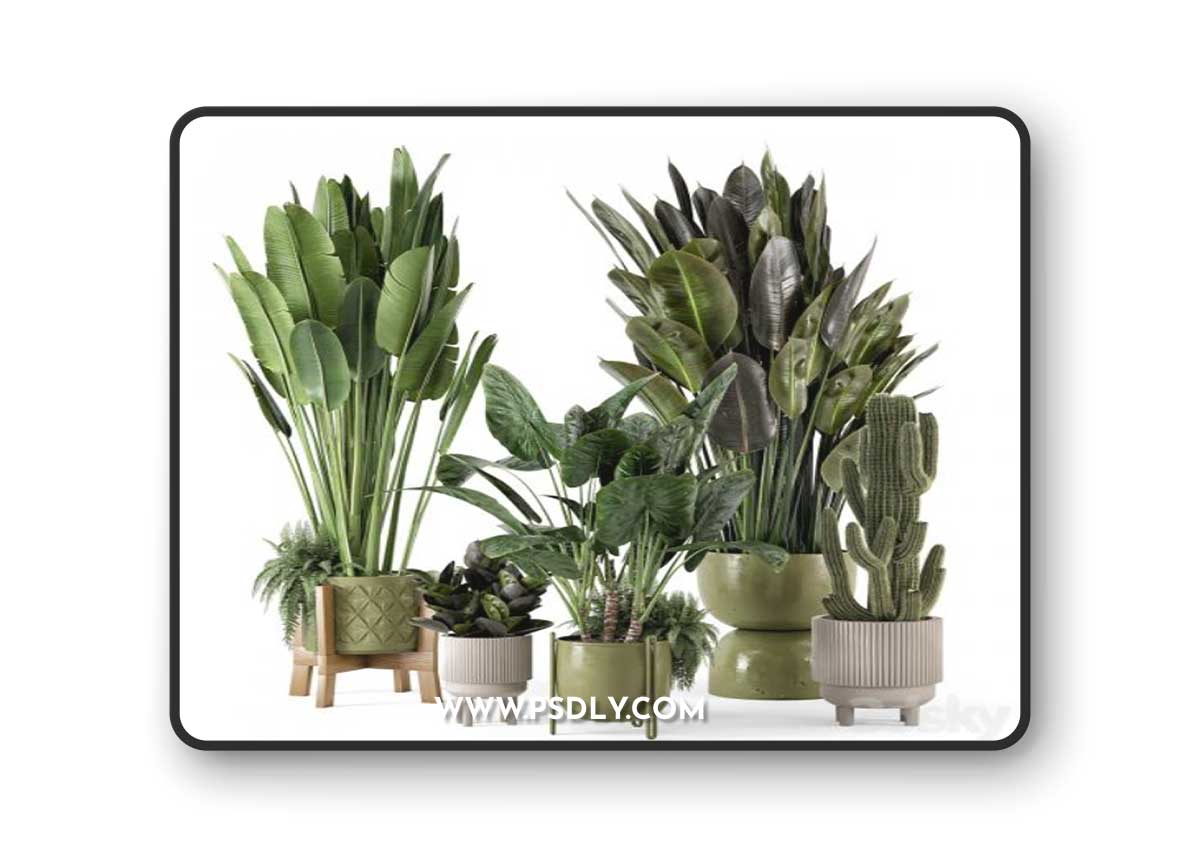 Indoor Plants in Standing Legs Small Bowl Concrete Pot - Set 563