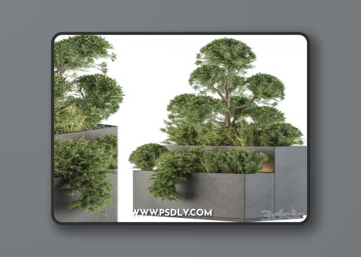 Outdoor Plant Set 214 - Plant Box