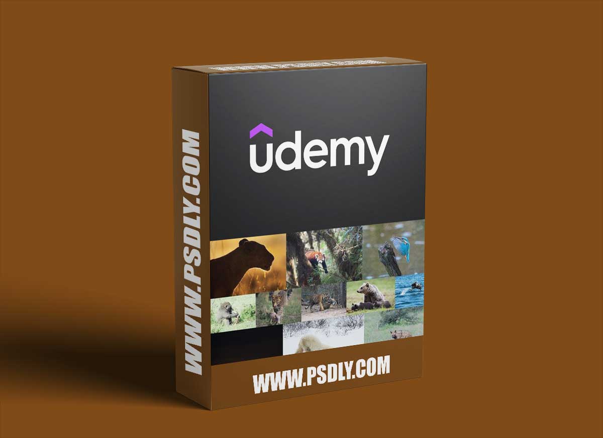 The Ultimate Beginners Guide To Wildlife Photography