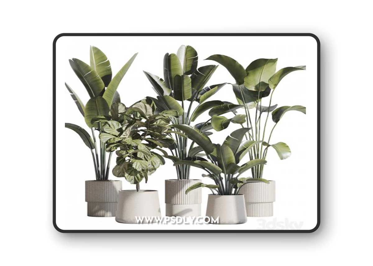 indoor plant set 75 3D Model
