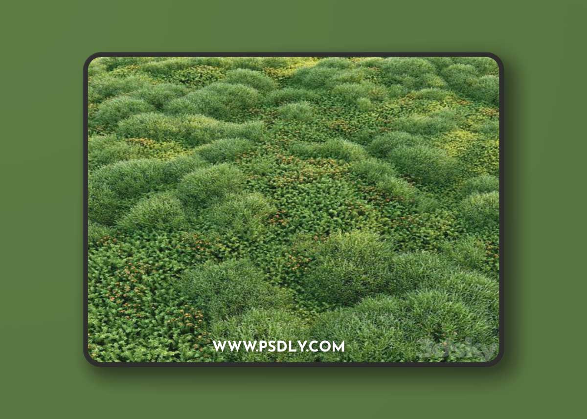 Blooming moss 2 3D Model