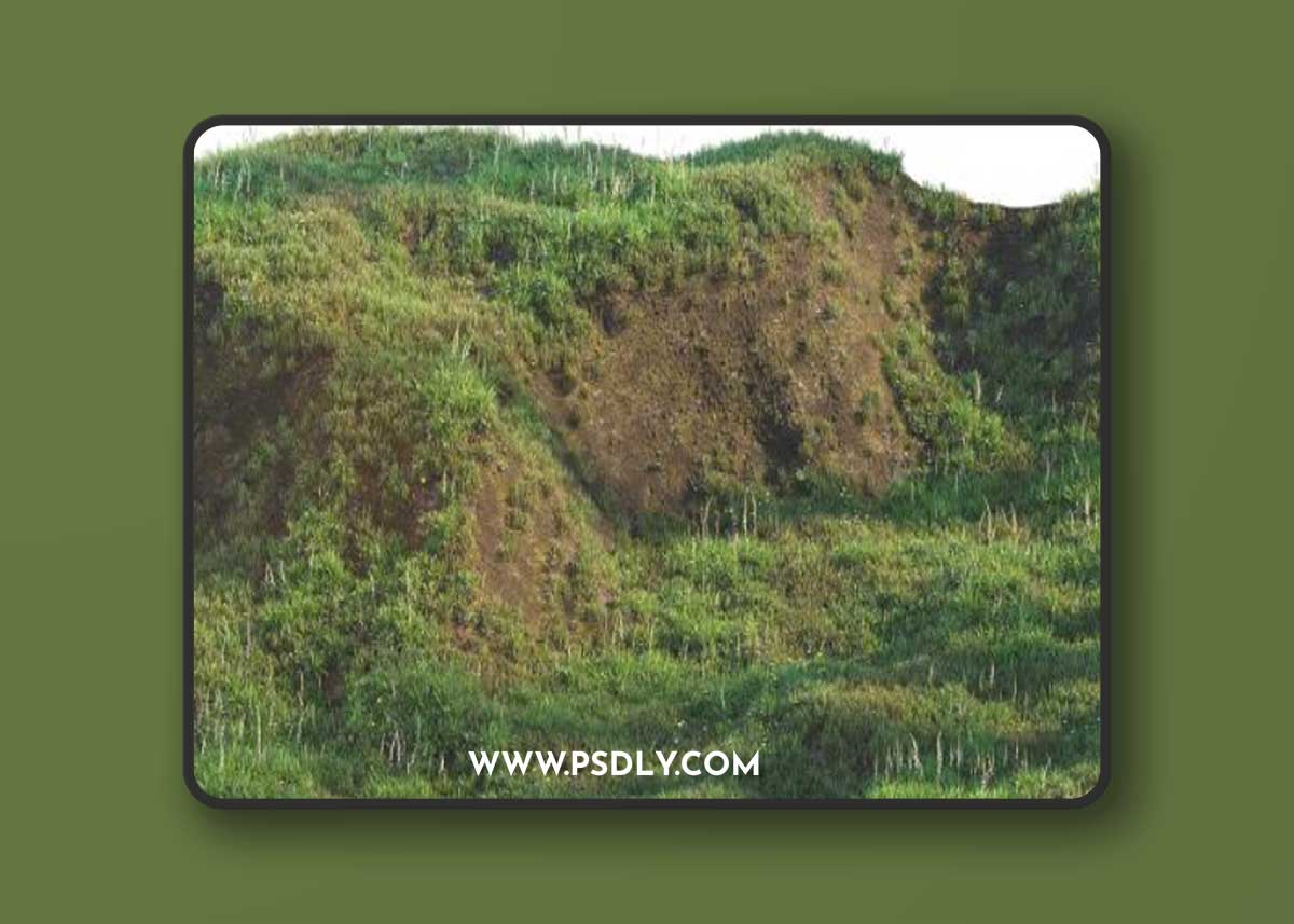 Grass on the slope 3D Model