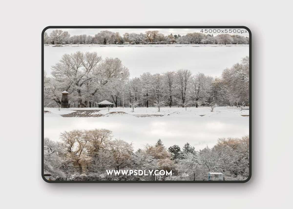 Panorama of the park and snow-covered trees. 45k