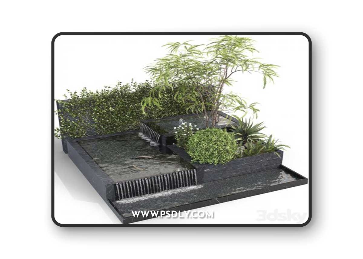 Water Ponds With Plants & fish