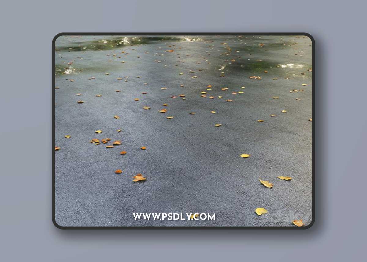 Wet asphalt with leaves. Autumn. Editable