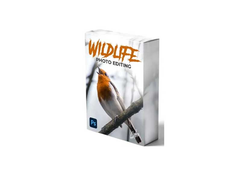 Zenja Gammer - Wildlife Photo Editing Course