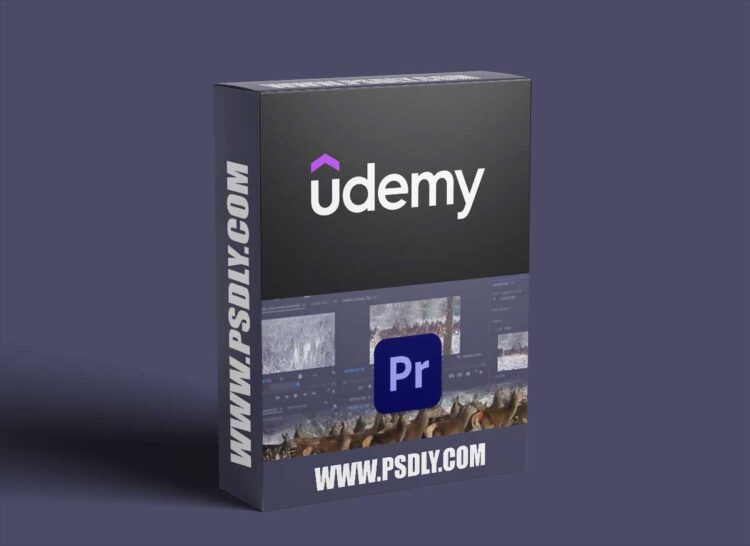 Learn Premiere Pro: Video Editing for Absolute Beginners
